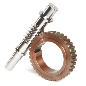 Customized Worm Gear Set
