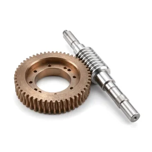 Worm and Wheel